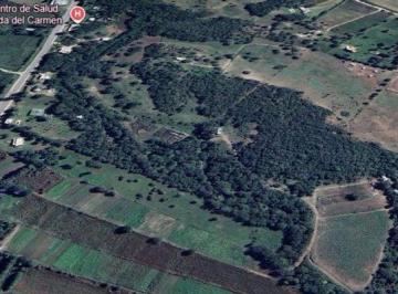 Campo · 8ha · Venta 8 Ha Lote Falda del Carmen