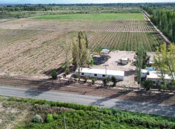 Campo , Jocolí · Finca de 16 Hectáreas 4.427 m² en Venta – Jocolí, Lavalle