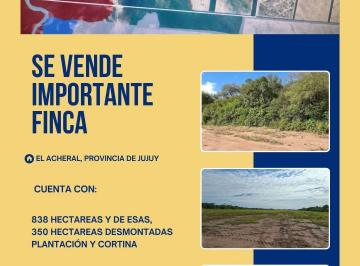 Terreno , El Acheral · Finca de 838 Hectáreas en El Acheral