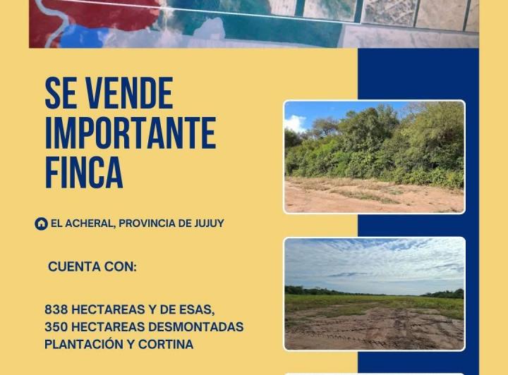 Terreno · 838ha
