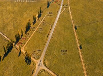 Campo · 2ha · Chacras en Venta! Escritura y Financiacion