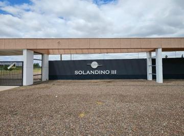 Terreno , El Sauce · Lote a La Venta en Guaymallen