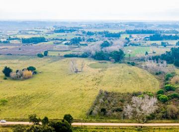 Campo · 30000ha · Venta de Campo 3ha en Rincon de Pando, Canelones
