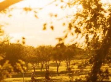 Terreno · 350m² · Lote en Venta - Pampas de Manantiales