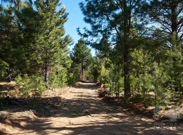 Terreno , San Carlos de Bariloche · Terreno en Venta – Club de Campo Dos Valles, Bariloche – Listo Para Escriturar