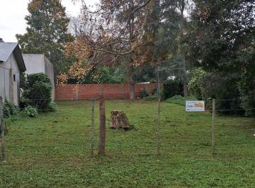 Terreno , Chascomús · Terreno de 380 m Sobre Bulevar. Barrio Las Violetas, a 2 Cuadras de La Laguna.