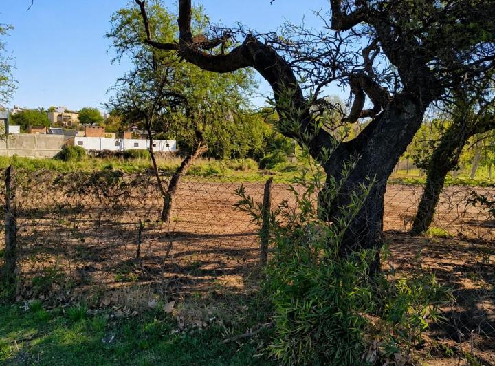 Terreno · 2008m²