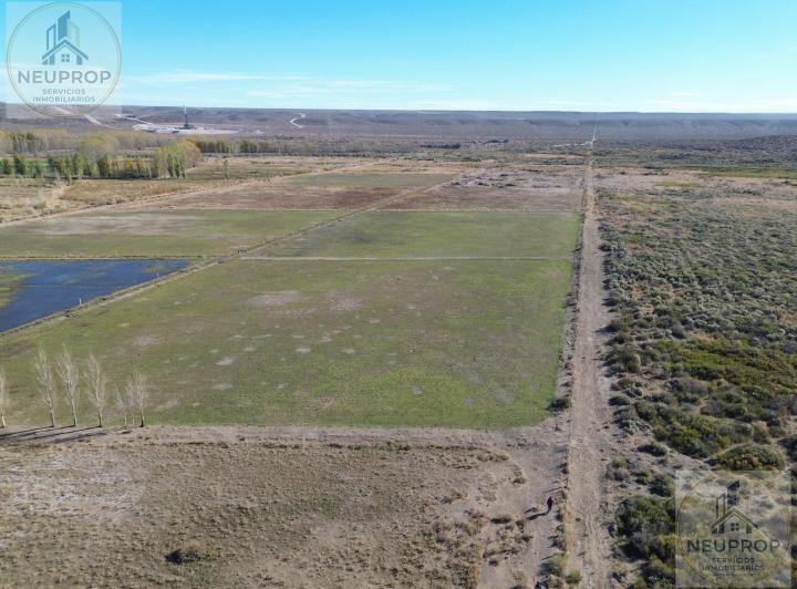 Campo · 2350000ha