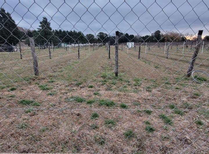 Terreno · 300m² · 5 Ambientes