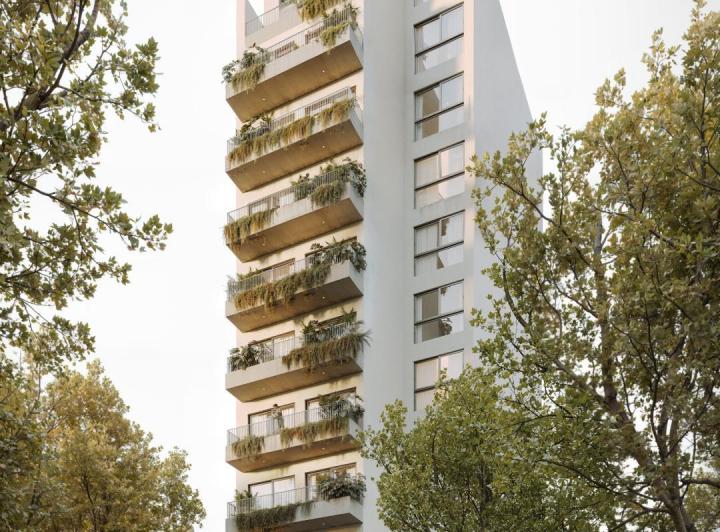 Desarrollo vertical