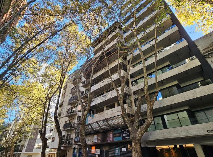 Desarrollo vertical