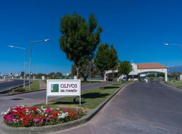 Terreno , General Gutiérrez · Lote en Venta Barrio Olivos del Torreon