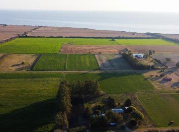 Terreno · 21ha · Venta Chacra 21 Ha en San Pedro, Colonia, Uruguay