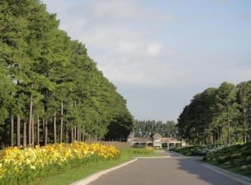 Terreno · 1600m² · Venta Terreno Pinares Country Club