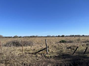 Campo · 76000ha · Campo 7.6 Has en Venta en Marcos Paz