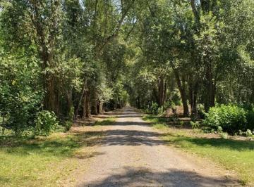 Terreno · 6700m² · Lote 7.000 m² Frente Al Casco | Arboleda Centenaria | Monte