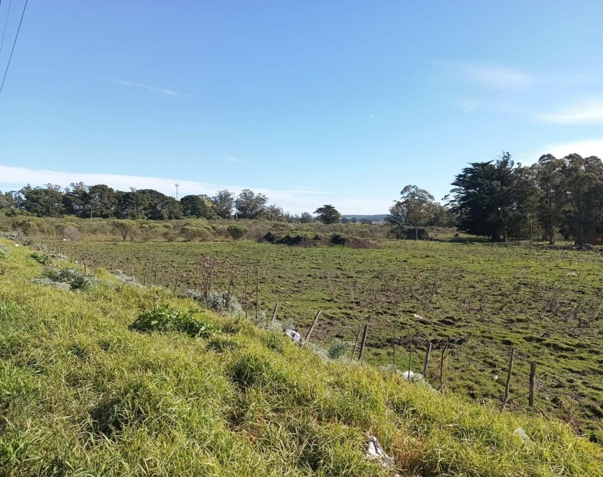 Lotes en venta – Avenida Antártida Argentina, Mar del Plata