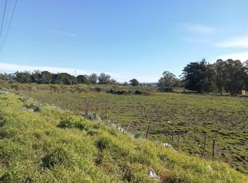 Terreno · 5000m² · Venta de Lotes Sobre Av Antartida Argentina - Ideales Para Desarrollo Comercial, Deportivo o Logist