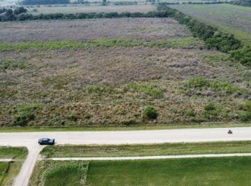 Terreno · 10000m² · Se Vende 1 Hectárea Sobre Calle 44, Reconquista.
