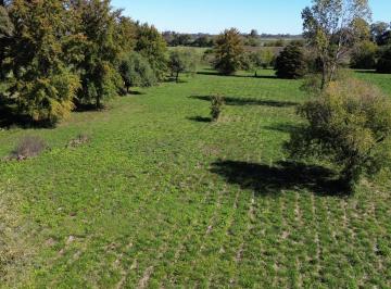 Campo · 5ha · Preventa | Chacra 5 Ha El Remanso | Exaltación