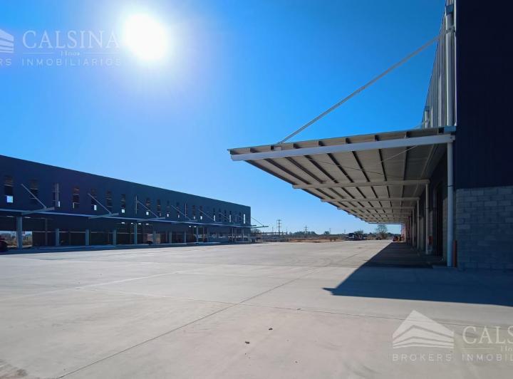 Bodega-Galpón · 430m²