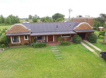 MGZ-MGZ-1038_2 · Chacra San Andres de Giles