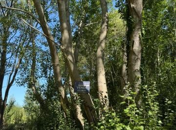 Terreno , Aguas Verdes · Lote de Terreno en Esquina en Aguas Verdes