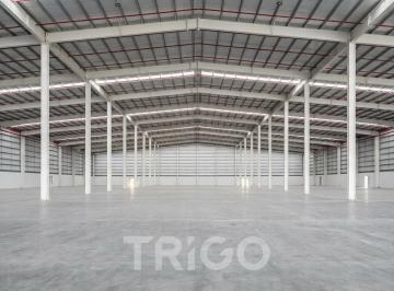 Bodega-Galpón · 11500m² · 3 Ambientes · 20 Cocheras · Nave Industrial y Logística de 11.500 m² en Alquiler Dentro de Parque Industrial en Zarate
