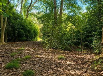Terreno · 1824m² · Viví La Experiencia de Despertar Cada Día Rodeado de Naturaleza, Aire Puro y La Serenidad