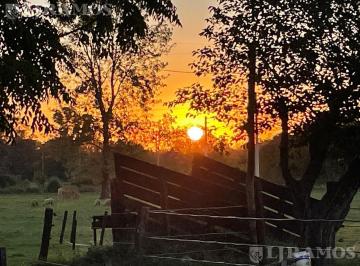 Campo · 340000ha · 1 Dormitorio · Campo en Venta Pilar Zona Polo 34 Ha a 800 m de La Ruta 28.
