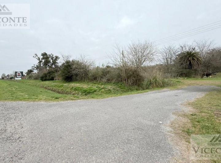 Terreno · 9736m²
