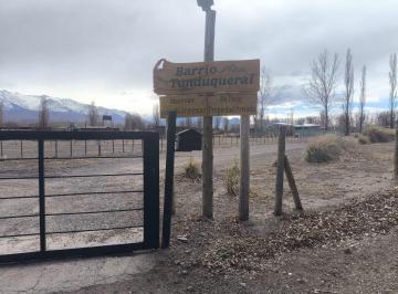 Terreno · 2500m² · Lote Grande en Uspallata, Barrio Tunduqueral Rp 52