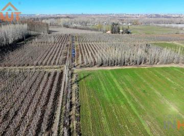 Campo · 200000ha · 4 Ambientes · Chacra en Cinco Esquinas