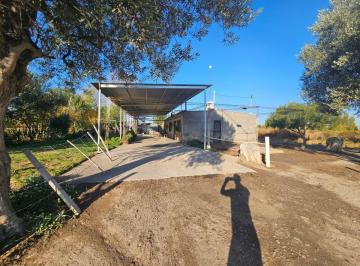 Campo , Junín · Finca en Venta 4 Ha – Junín, Mendoza