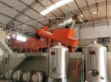 Campo · 15000ha · Bodega Venta en Funcionamiento San Martin Mendoza