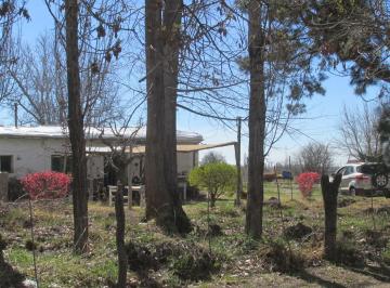 Campo · 2ha · Terreno 2,5 Has en Venta La Consulta Valle de Uco