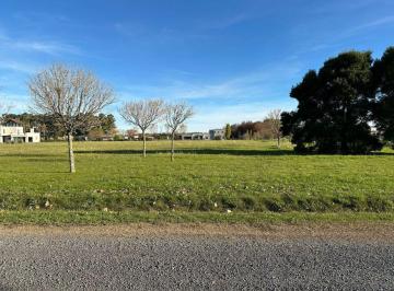 Terreno · 10000m² · Lote en Venta en Estancia La Macarena – Exaltación