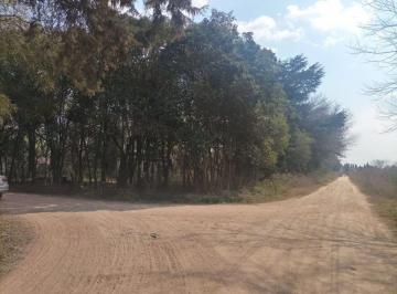 Terreno · 15465m² · Venta de Loteo/terr Desarrollo, La Lonja Pilar
