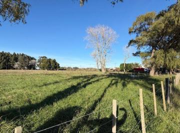 Terreno · 1079m² · Terreno/lote en Venta General Madariaga