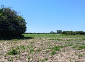 Campo · 17551ha · Venta 17hs Campo Cañada de Rio Pinto Cordoba