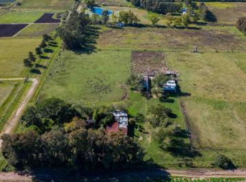Campo · 9ha · Venta Chacra, Viviendas Galpones Tajamar Canelones