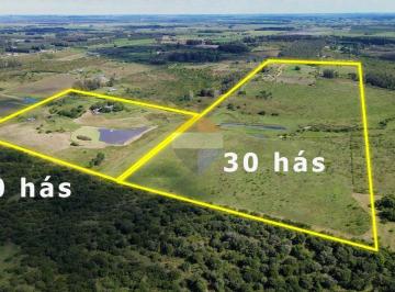 Campo · 29ha · Venta de Campos Chacra, en Las Brujas, Cerrillos