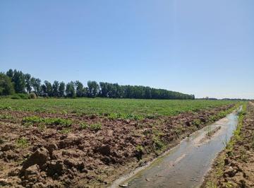 Terreno · 80000m² · Venta de Finca 8 Hs en Las Heras, Mendoza