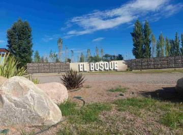 Terreno · 300m² · Venta Lote Barrio Privado El Bosque Maipu Mendoza