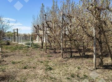 Casa · 4 Ambientes · 3 Cocheras · Alquiler Casa de Chacra 2 Dorm. - Fernandez Oro