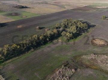 Campo · 87m² · Campo 87 Hectáreas Agrícola - Ganadero - Mixto - San Miguel del Monte