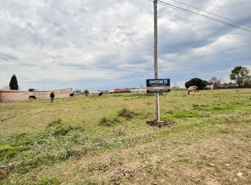 Terreno , San Pedro · Camino Al Aeroclub - Zona Villa Jardin