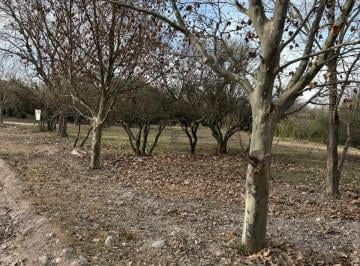 Foto · Se Vende Terreno en La Cumbre "Las Marias" Gas Natural