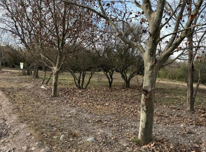Terreno · 1736m²