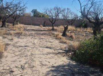 Terreno , Rodeo de la Cruz · Gran Oportunidad de Inversión en Rodeo de La Cruz